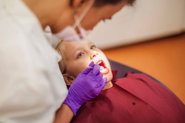 Best Emergency Dental Services for Seniors in Madison Center, CT